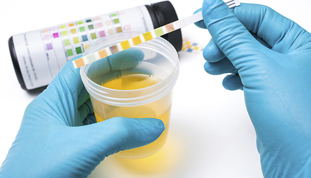 Best Synthetic Urine
