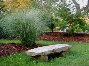 Various Types Of Landscaping Grass For Your Home Garden