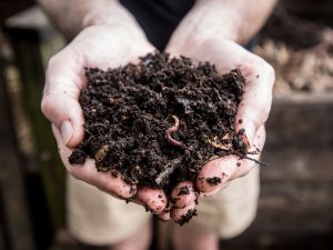 Effective solution for food waste by community compost system