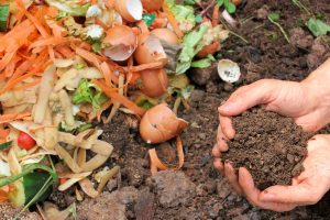 composting in singapore